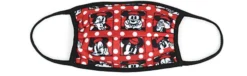 Disney - Minnie Mouse : Masques En Tissu PM